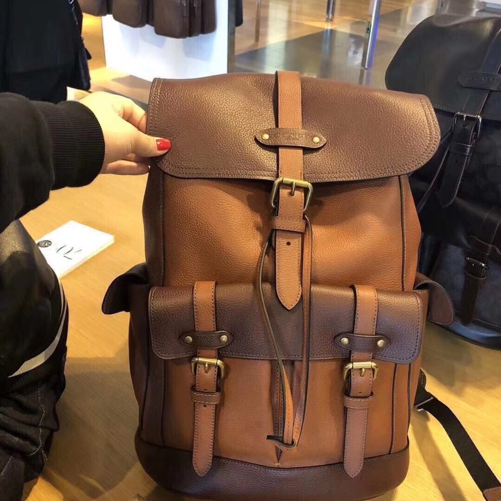 Coach Hudson Backpack In Colorblock Dark Brown - Picture 2 of 7